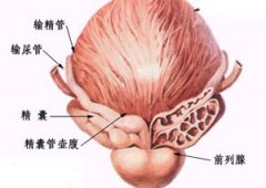 前列腺炎的预防方法有哪些